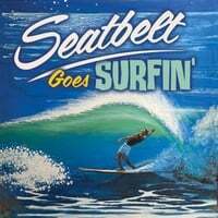 Seatbelt Goes Surfin’